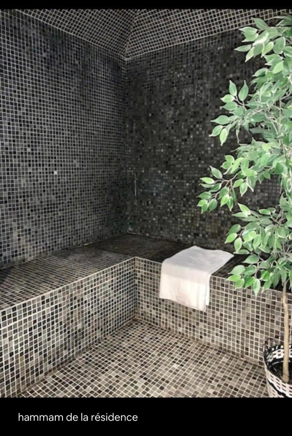 Appartements Avec Piscine Interieure Sauna Parking Etage 1 Au Centre Du Village Dans Residence Cami Real Saint-Lary-Soulan Exterior foto